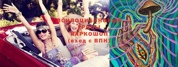 прущие грибы Алексеевка