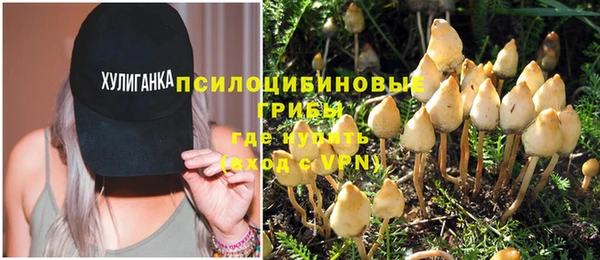 соль курить ск Алексин