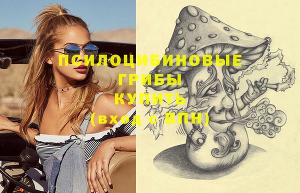 прущие грибы Алексеевка