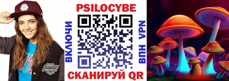 где продают наркотики  Болхов  Псилоцибиновые грибы Cubensis 